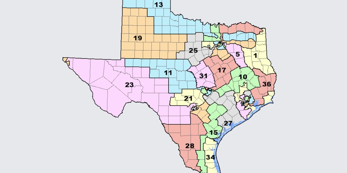 Texas lawmakers release first redistricting proposal