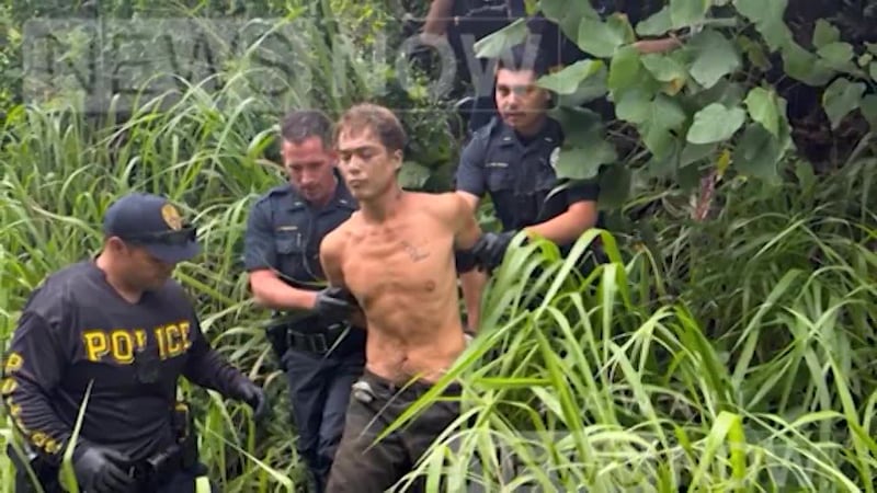 A suspect was arrested in Hawaii after three older men were killed, police say.